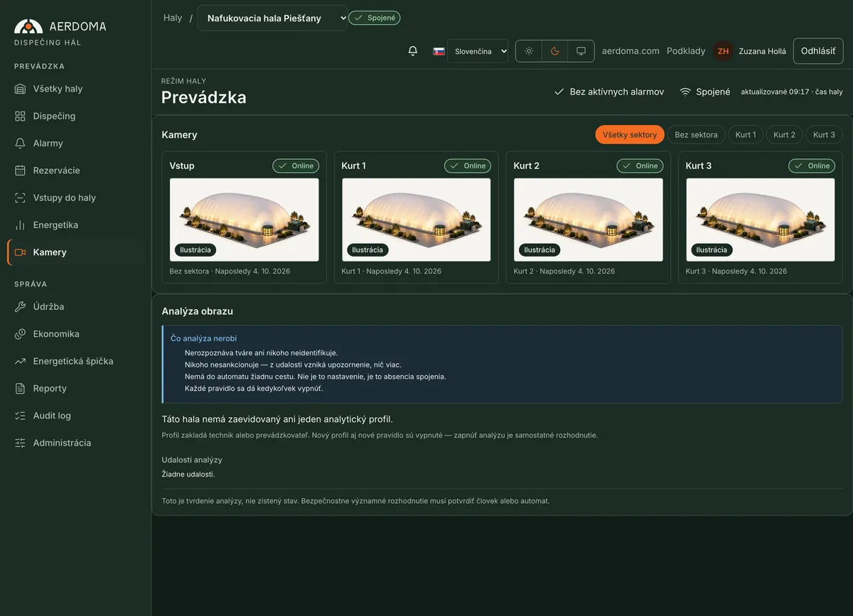 Cameras in the dispatch app: four hall cameras by sector with online state and time of last check-in, the previews are an illustration; below them image analysis and what it does not do